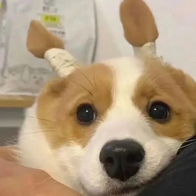 lizhng145985's profile picture. 022D，175/76，30y，📷