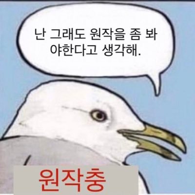 seoulbodymeat's profile picture. 똥은던져졌다