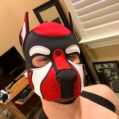 Just a pup having fun and showing it along the way. Feel free to dm me, especially I f you’re ever in the area and want to play.
