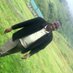 Spensa'r (@spensarfulgence) Twitter profile photo Spensa'r (@spensarfulgence) Twitter profile photo