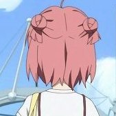 ん子さんのプロフィール画像