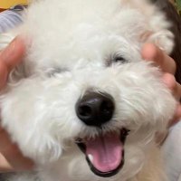 ๐ฏDancing in the moonlight๐บ (@moonlightdanse) 's Twitter Profile Photo ๐ฏDancing in the moonlight๐บ (@moonlightdanse) 's Twitter Profile Photo