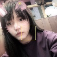 お茶🍵 (@shenlantk) 's Twitter Profile