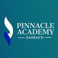 Pinnacle Academy(@brhpinnacle2019) 's Twitter Profile Photo