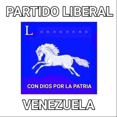 ( PARTIDO LIBERAL EN FORMACION)