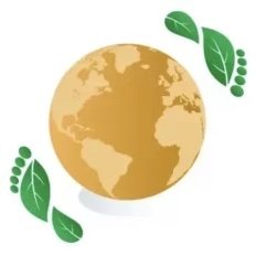 BIOMELSANTÉ
SANTÉ BEAUTÉ – LE BIEN-ÊTRE AU NATUREL & ÉCOLOGIQUE
Votre Destination pour un Bien-Être Naturel et Équilibré avec des SOLUTIONS