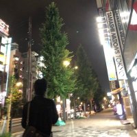 さまよい (@samayoi_3041) Twitter profile photo