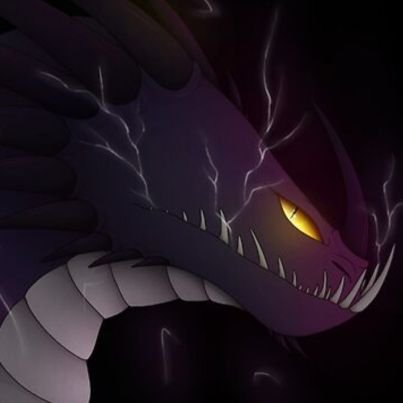 the most mysterious and feard dragon of all dragons