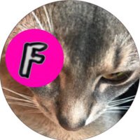 𝐅 (@starfish_alien) 's Twitter Profile