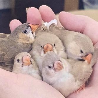 kouさんのプロフィール画像