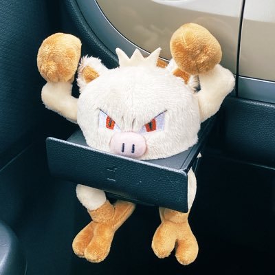 もちりさんのプロフィール画像
