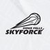 Sioux Falls Skyforce (@SFSkyforce) Twitter profile photo