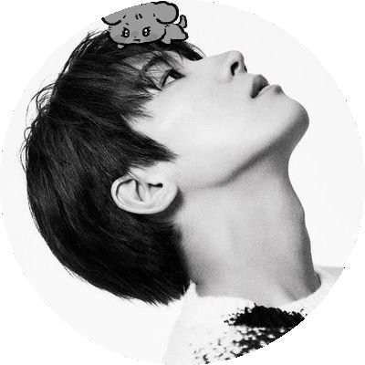 wonyujoa Profile Picture