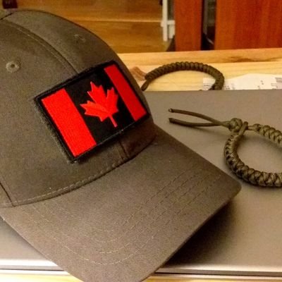 Canadian immigrant, been around, worn many hats, wants to be in the side of truth and freedom.