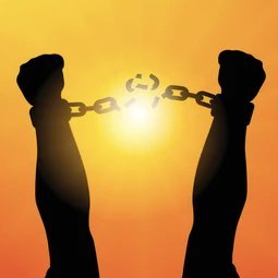 Freed_Slave777's profile picture. ⚡️Bitcoin maxi, 🐝 Regenerative honeybee farmer,🛡️ Private based trusts and clubs, ⛓️‍💥 Parallel sovereign economy, 🏠 Real estate investor