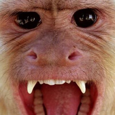 jsnpritchett's profile image