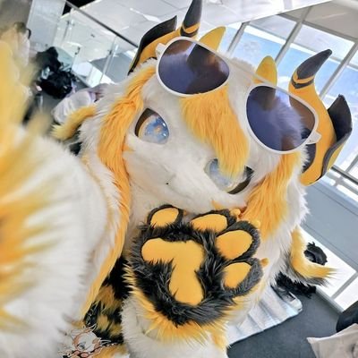 Fursuiter : Chrysea(@bluefox_kr) 22.5.21 / DM Free / MBTI : ENFJ-A