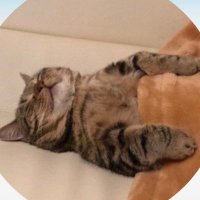 りー (@ri_____ss__) Twitter profile photo