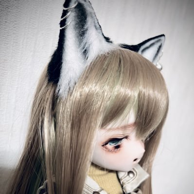 すこっち。さんのプロフィール画像