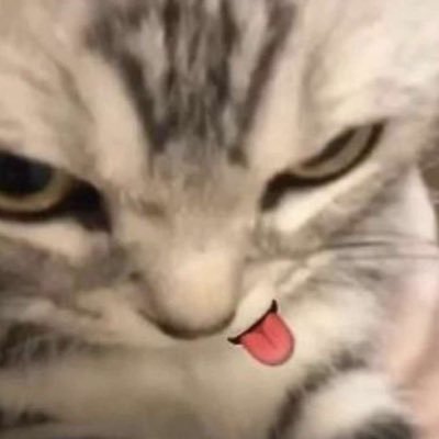 aslk8888's profile picture. 