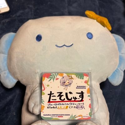 nekoko_youtuber's profile picture. 💫🐧⚡️🐚 推しなポンコツオス猫