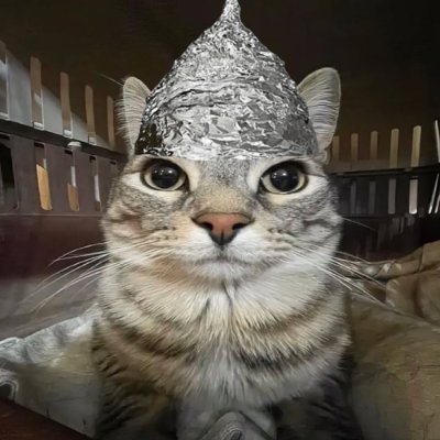 TinHat_Cat Profile Picture