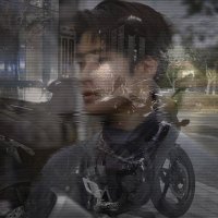 cece (@damourtulips) 's Twitter Profile