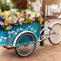 Our Greenway (@ourgreenway) 's Twitter Profile