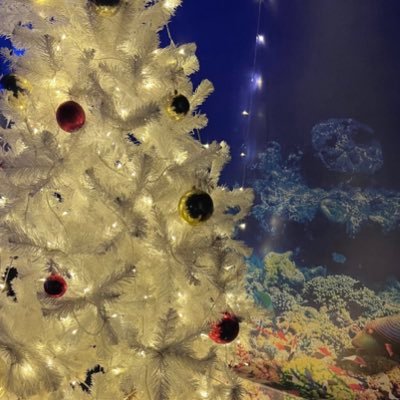 soiiammm's profile picture. sometime