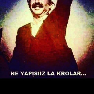mertcan02406629's profile picture. elazig palulu