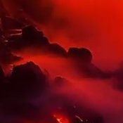 Fabrici10420646's profile picture. 