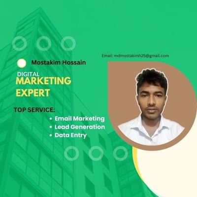 I am Mostakim Hossain who is a Digital Marketing Expert. Email Marketing, Lead generation, Data Entry is my profession job.