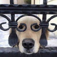 Orlando Curioso (@orlando71156528) 's Twitter Profile Photo Orlando Curioso (@orlando71156528) 's Twitter Profile Photo