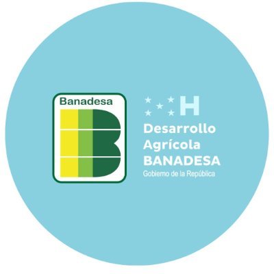 banadesa Profile Picture