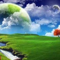 mohinh265119's profile picture. 