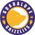 Guadalupe Grizzlies (@guadgrizzly) Twitter profile photo