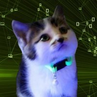 nvidia cat(@nvidiacatSOL) 's Twitter Profile Photo