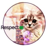 リスペクト🍀 (@trw3y7kk8b8z9i) 's Twitter Profile