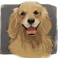 名犬アヴィ🐑🎵 (@nk_wanwan97) 's Twitter Profile