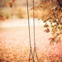 Rachel Bonds - @RachelBonds - Twitter