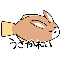 兎花玲🐇🐟🔞 (@usaka_ray) 's Twitter Profile Photo