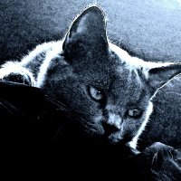 Vuslat (@ebukibrisi1) 's Twitter Profile