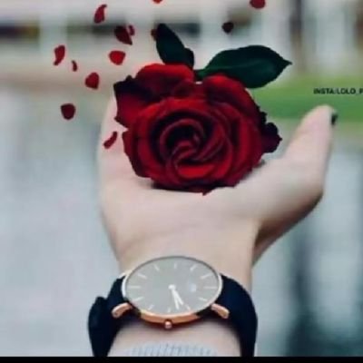 aaquibdhl's profile picture. 