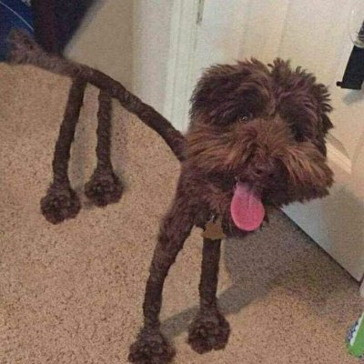 INineCircles_'s profile picture. Me pase Nine Circles lol