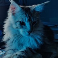 L (@l2227931497678) 's Twitter Profile