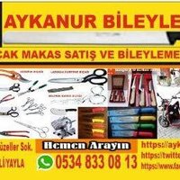 Aykanur Bileyleme(@bileyciNaim) 's Twitter Profile Photo