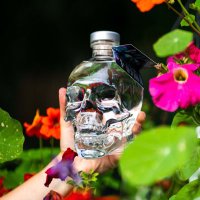 Crystal Head Vodka(@crystal_head) 's Twitter Profile Photo