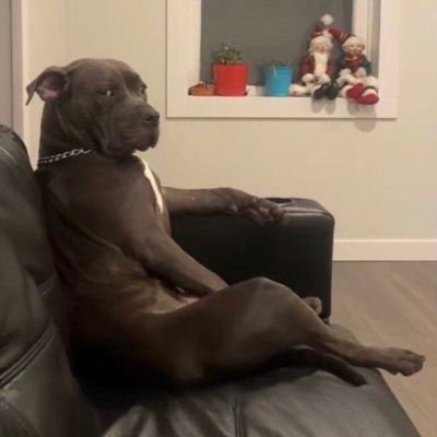 Cyraxxx18's profile picture. Adult Entertainer
Content Creator