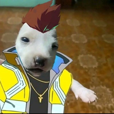 moonay944's profile picture. dajcie lajka