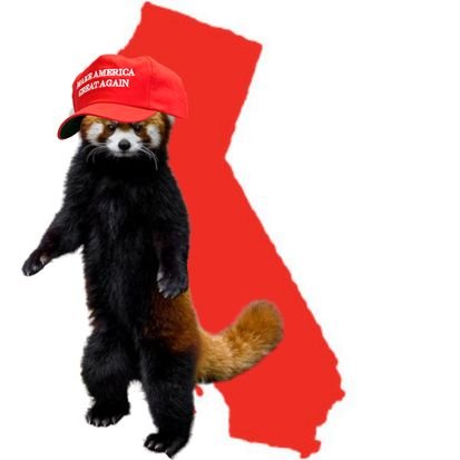 Red Panda Politics 🇺🇸🇻🇦✝️⛪ (MAGA)